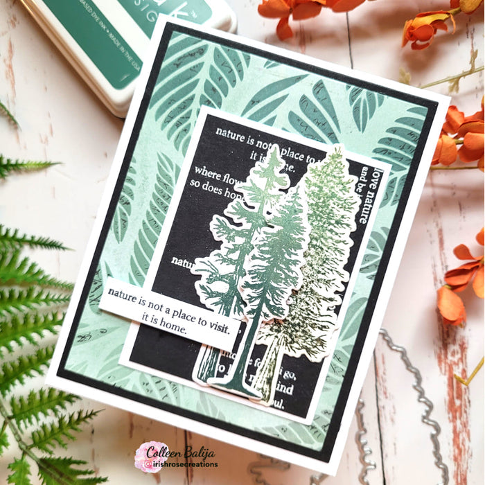 Gina K. Designs - Stamp & Die Set - Nature Walk. Nature Walk is a stamp set by Hannah Drapinski. This set is made of premium clear photopolymer and measures 6" X 8". Made in the USA. Available at Embellish Away located in Bowmanville Ontario Canada. Example by brand ambassador.