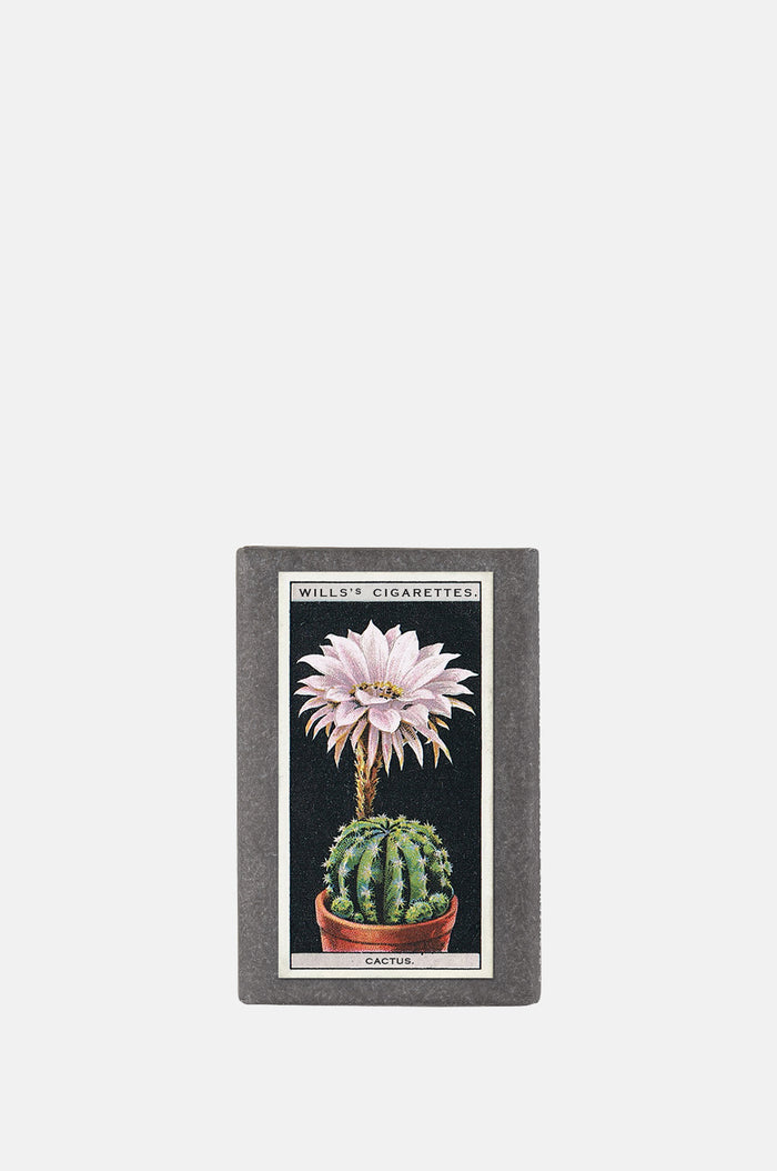 Sting in the Tail Vintage Pot Plants Label Soap Cactus.