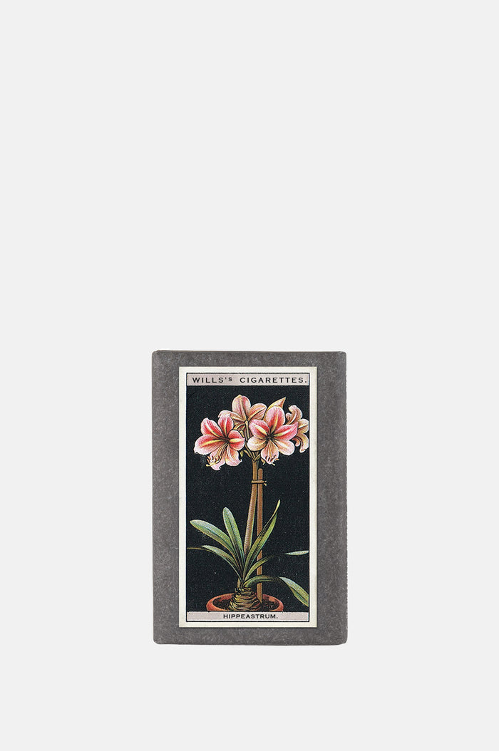 Sting in the Tail Vintage Pot Plants Label Soap Hippeastrum.