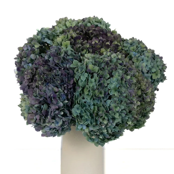 Antique Blue Jumbo Hydrangea Vase - Image