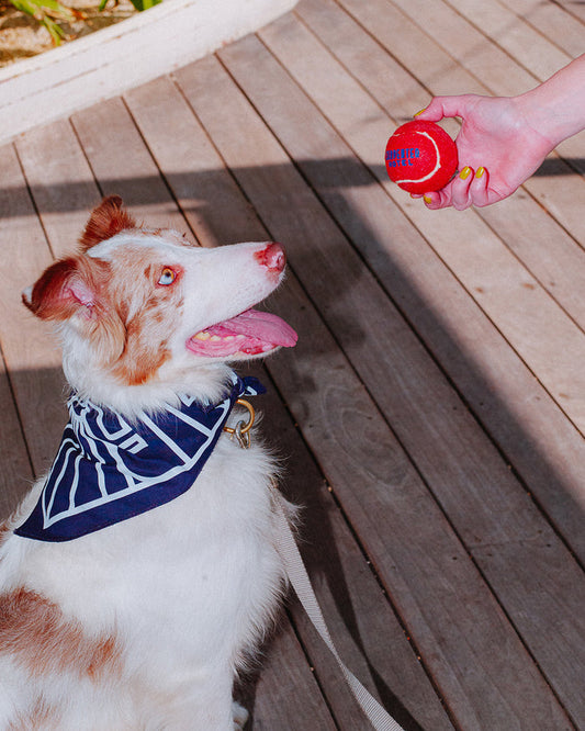 Carpenter Bandana