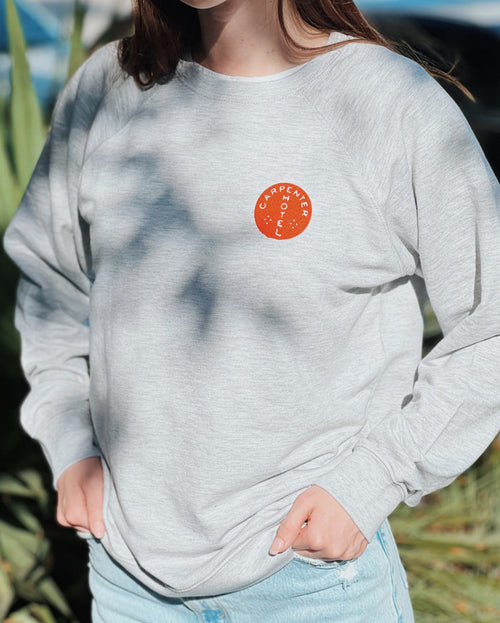 Person wearing a gray sweatshirt with an orange logo outdoors