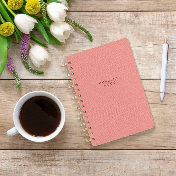Current Mood (Coral Pink) Agatha Notebooks