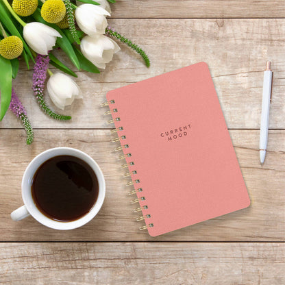 Current Mood (Coral Pink) Agatha Notebooks