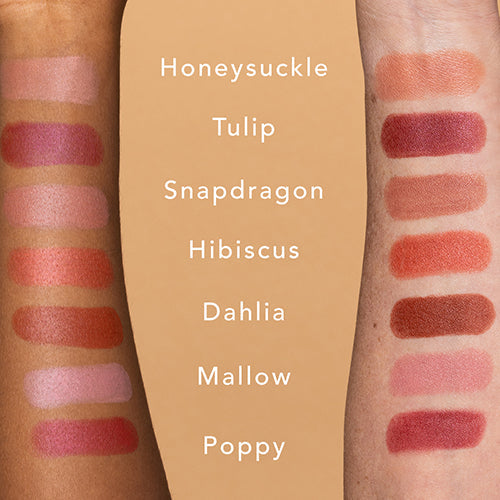 Lipstick Swatch