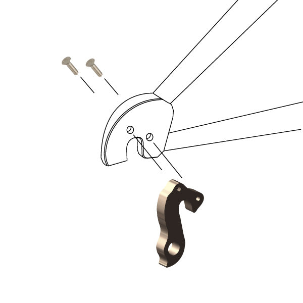 Hanger #243 attaches to the frame's rear dropout from the outside, or derailleur side using two M4x8 screws.