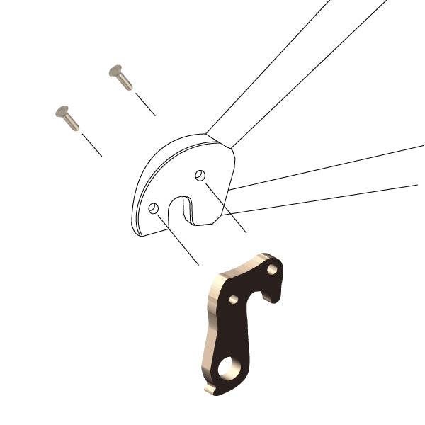 Hanger #263 attaches to the frame's rear dropout from the outside, or derailleur side using two M4x8 screws.
