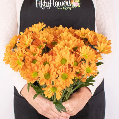 Orange Daisy Flower Bunch in Hand