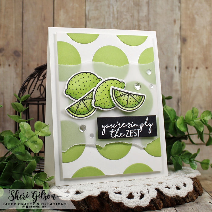 Gina K. Designs - Stamp & Die Set - More Fun Fruit. More Fun Fruit is a stamp & die set by Beth Silika. This set is made of premium clear photopolymer and measures 6" X 8". Made in the USA. Made in the USA. Available at Embellish Away located in Bowmanville Ontario Canada. Example by brand ambassador.