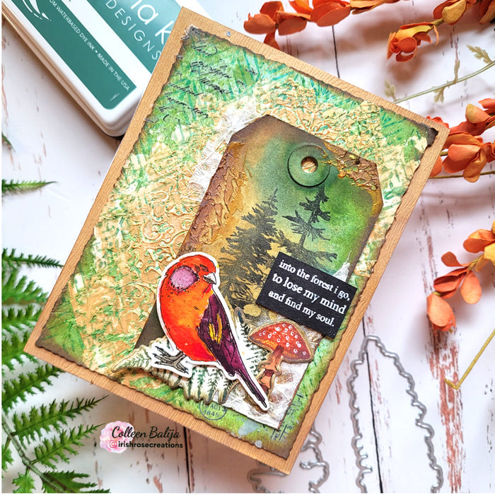 Gina K. Designs - Stamp & Die Set - Nature Walk. Nature Walk is a stamp set by Hannah Drapinski. This set is made of premium clear photopolymer and measures 6" X 8".  Made in the USA. Available at Embellish Away located in Bowmanville Ontario Canada. Example by brand ambassador.