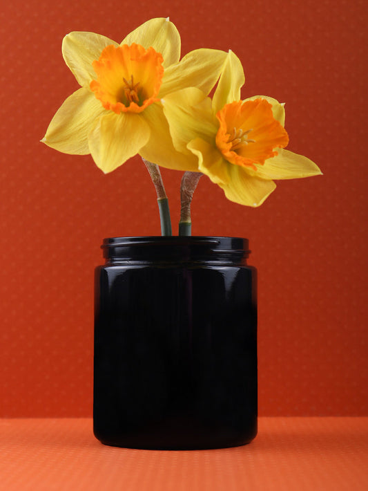 Glass Stash Jar 250ml | One Colour-Image 1