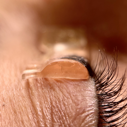 Jelly Castle Lash Lift Shields (Lift)