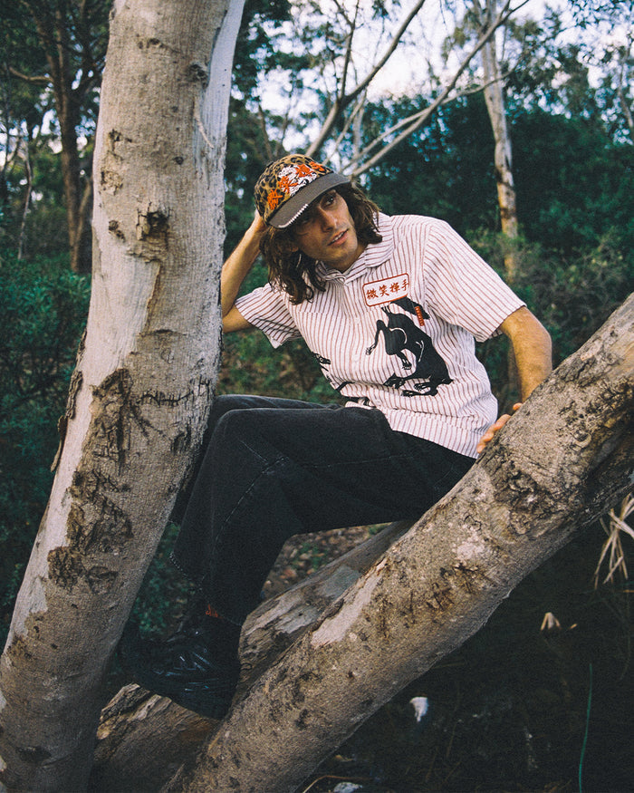 Monty and Pepper Short Sleeve Shirt - White / Brown