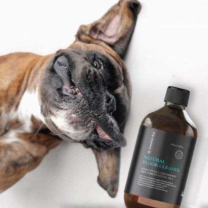 Dog lying down next to a bottle of natural floor cleaner on a white background.