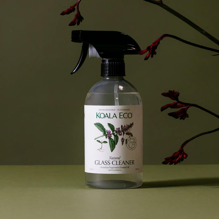 Plastic spray bottle of peppermint natural glass cleaner styled with plants on a surface.