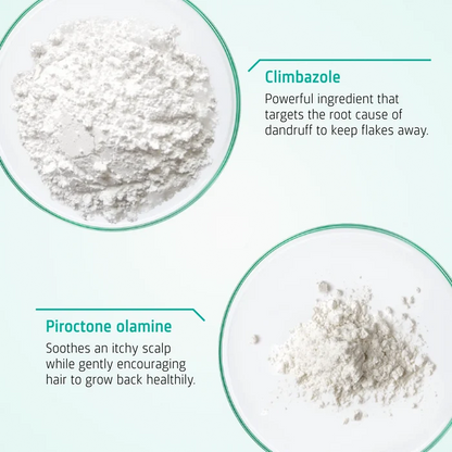 Key ingredients in Neofollics Scalp Therapy Exfoliating Shampoo including climbazole and witch hazel