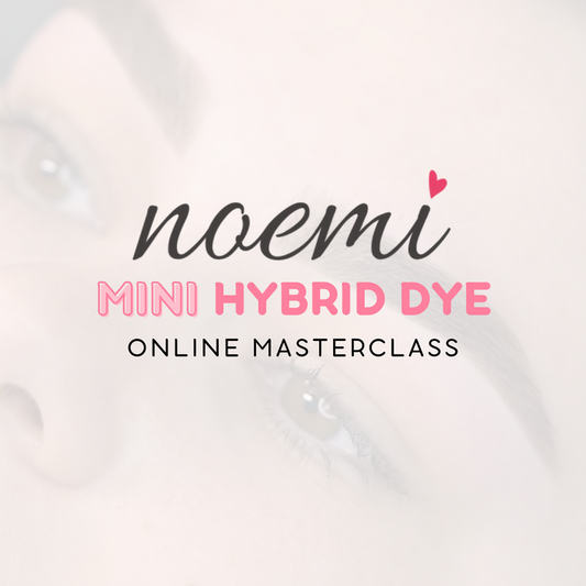 Noemi - Mini Hybrid Dye Masterclass