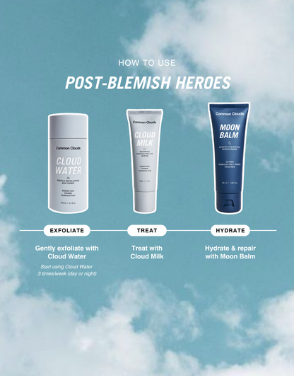 POST-BLEMISH HEROES