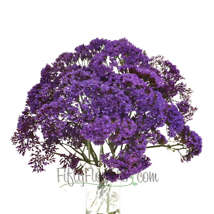 Purple Sea Foam Statice Flower