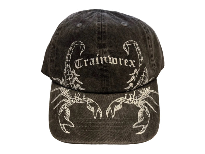 Scorpions Cap - Washed Black