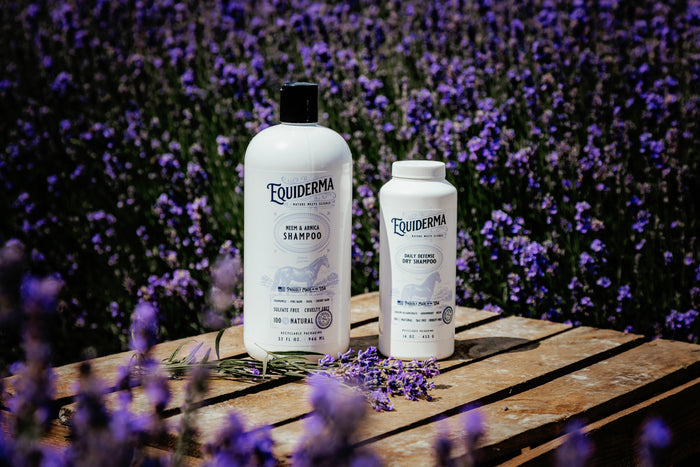 Shampoo Bundle