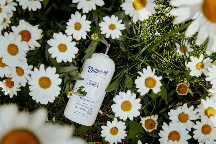 Sheath & Udder Cleanser
