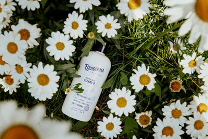Sheath & Udder Cleanser