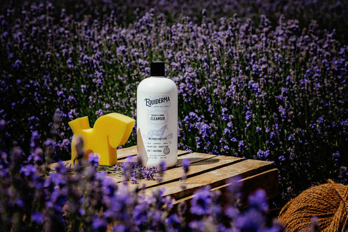 Sheath & Udder Cleanser