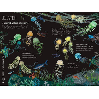 The Big Book of the Blue by Yuval Zommer