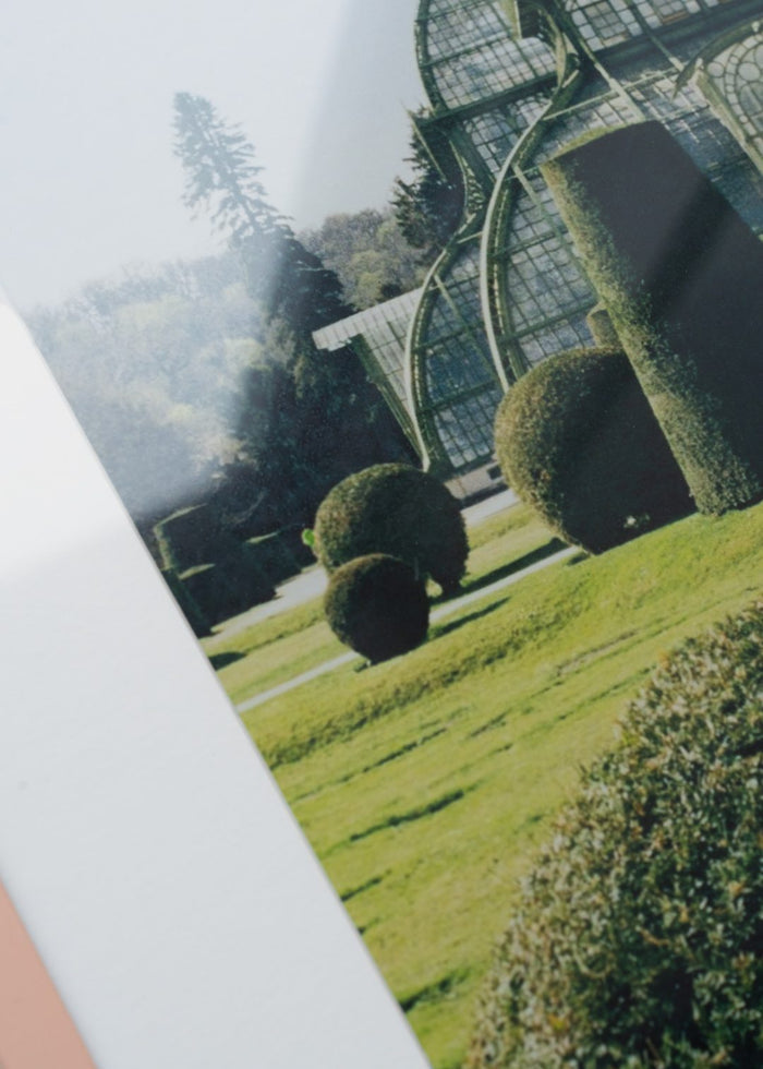 Topiary by Laura Short