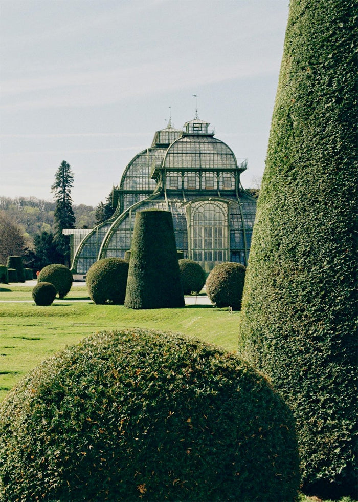 Topiary by Laura Short