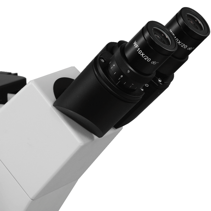 WF 10X Widefield Microscope Eyepieces, High Eyepoint, 23.2mm, FOV 20mm (Pair) BM03032211